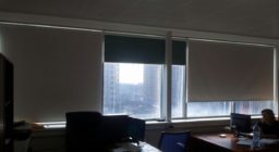 Рулонные шторы BlackOut для офиса