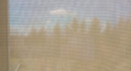 Рулонные жалюзи Скрин