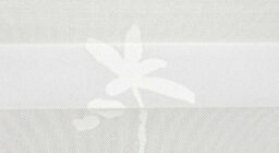 Амазон белый