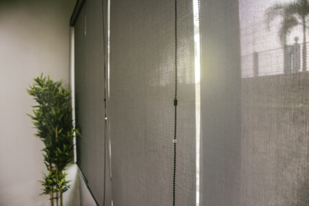 Прозрачные рулонные шторы Screen