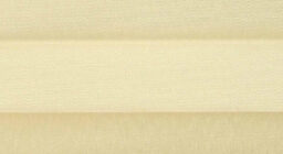 Сильва имбирь