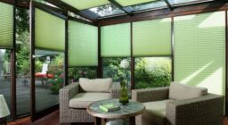 Внешний вид — средний размер