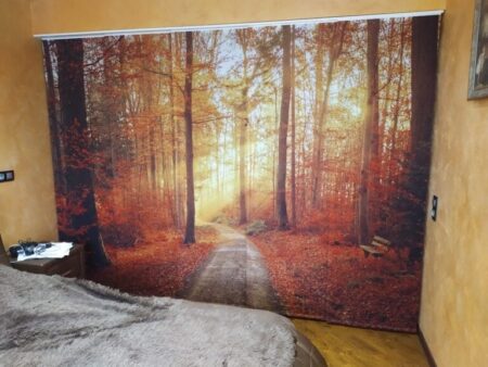 Японские шторы с фотопечатью