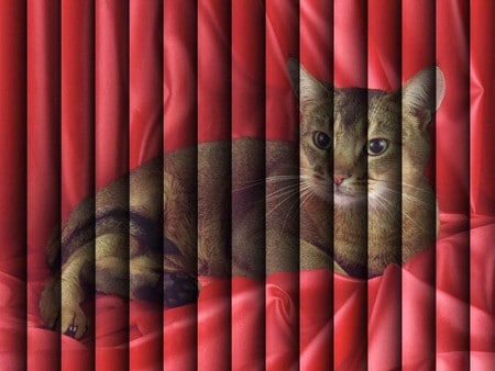 Фотожалюзи: яркий дизайн, любой рисунок и лёгкий уход для дома и офиса