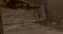 Рулонные шторы Screen для Культурно-общественного центра парка «Маяк»